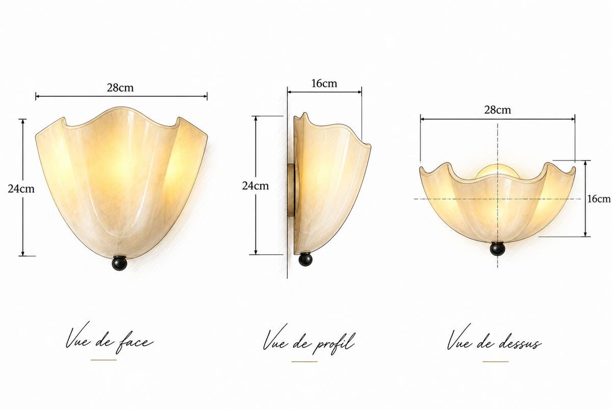 Dimensions de 